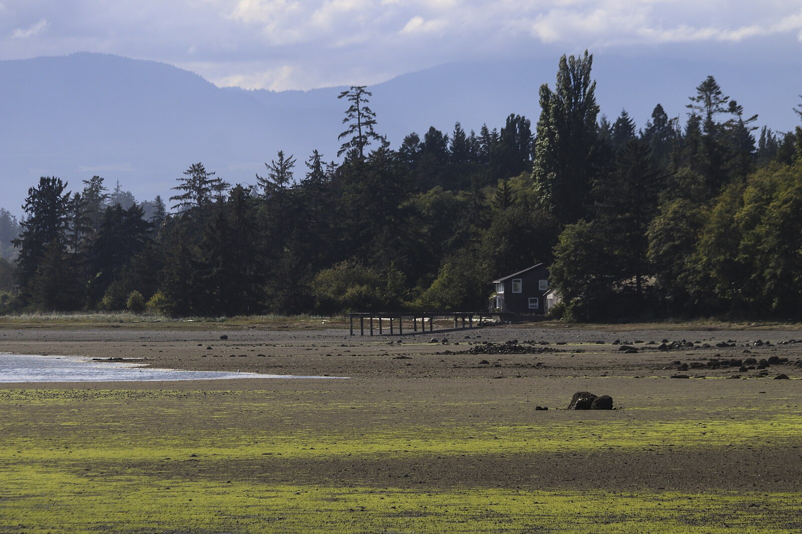 Powell River 05.jpg