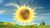 Samueljacksonbabysun.jpg