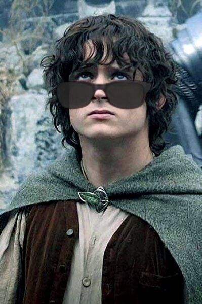 File:WhoThatBehindTheFosterGrant-ItsFrodo.jpg