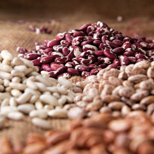 Beans dry pile so09 1.jpg