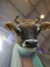 1470250852945.png