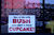 Bushcupcake.jpg
