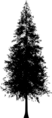 Thumbnail for version as of 17:30, 2 December 2024