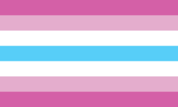Femboy flag.svg
