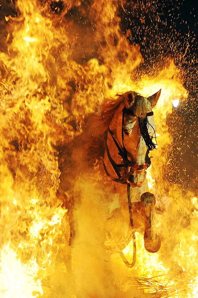 File:Horses-leap-through-fire-in-purification-ceremony-small.jpg
