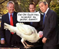 Bush-turkey.jpg