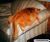 Fat cats.jpg