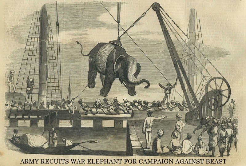 File:War Elephant 1.jpg
