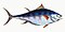 Illustration from The Natural History of British Fishes (1802) by Edward Donovan, digitally enhanced by rawpixel-com 5.jpg