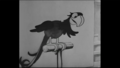 Thumbnail for version as of 20:24, 22 August 2025