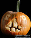 Pumpkin5-1-.jpg