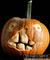 Pumpkin5-1-.jpg