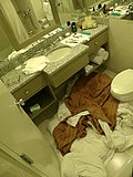 Thumbnail for version as of 19:52, 5 March 2021