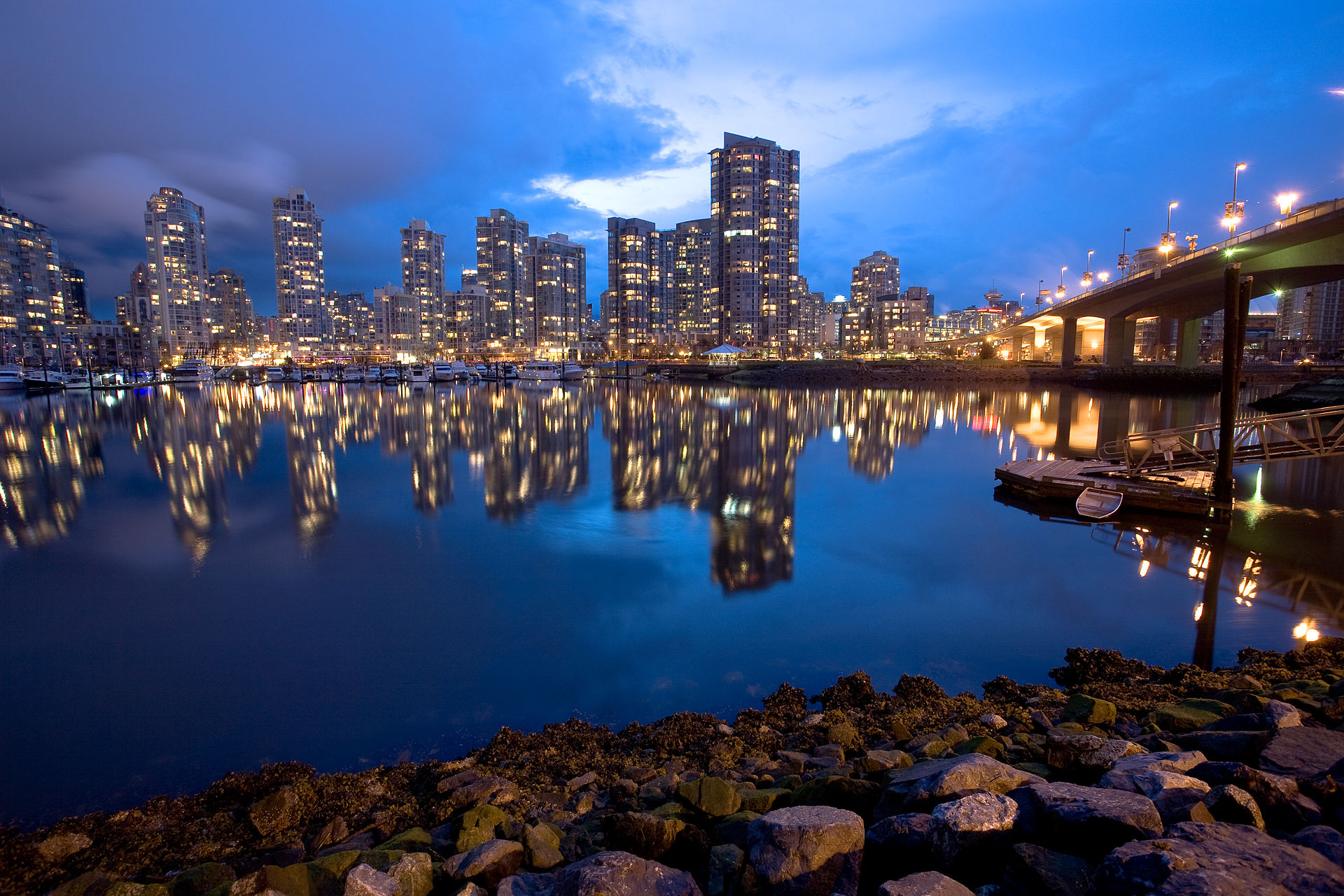 Not actually that still (2372286093).jpg