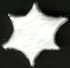 Side view of a Star Nern