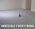 Invisibleeverythinglolcat.jpg