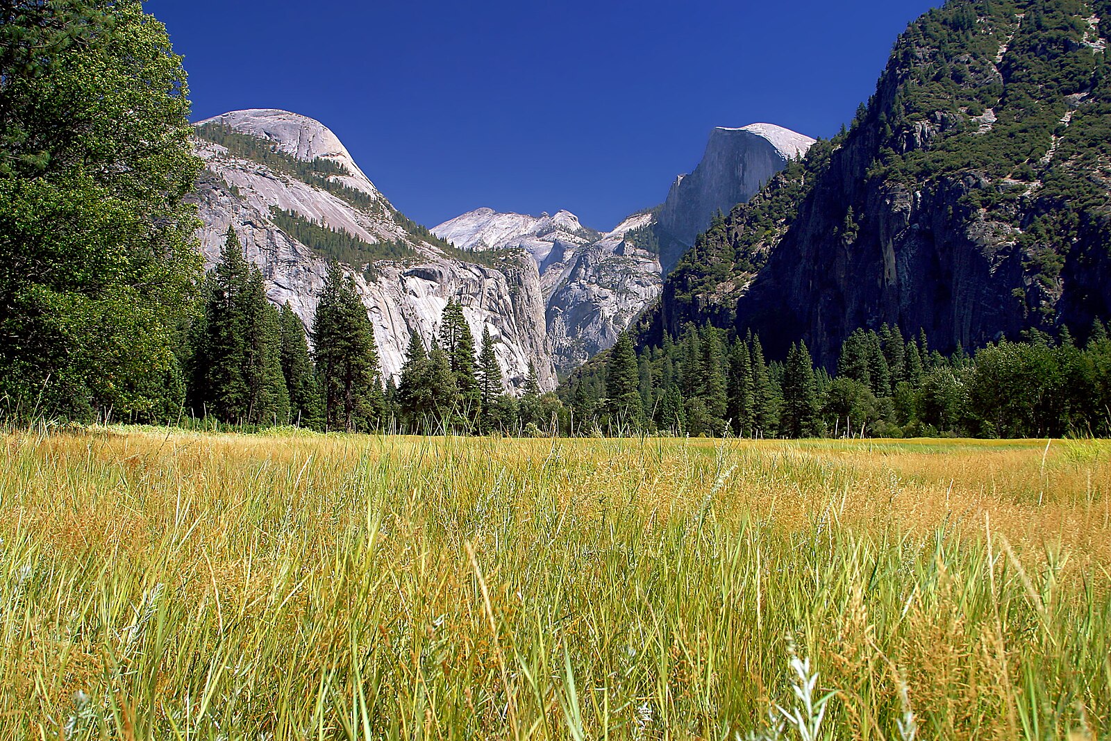 Yosemite meadows 2004-09-04.jpg