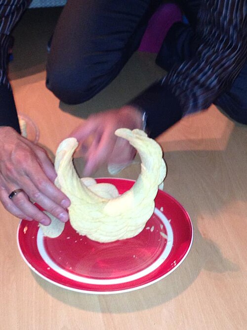 File:Pringle Construct.jpg