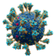 Coronavirus. SARS-CoV-2.png