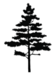 Tree silhouette.png