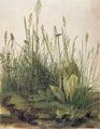 Painted around the time of his first visions, Dürer made sketch-after-sketch of this grass, usually gawping in awe and wonder.