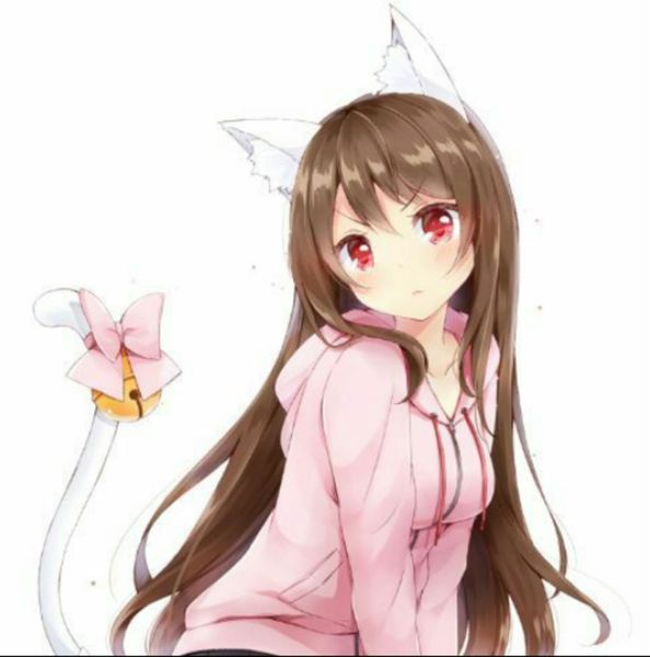 File:Anime Cat Girl.jpg