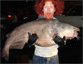 Giant catfish2.jpg