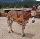 File:Wikimule.jpg
