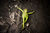 Dead kermit.jpg