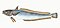 Illustration from The Natural History of British Fishes (1802) by Edward Donovan, digitally enhanced by rawpixel-com 25.jpg