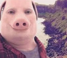 John Pork enjoying the Plastic Beaches of South Carolina