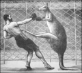 Thumbnail for version as of 23:44, 15 July 2012