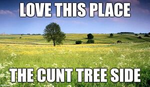 Cuntree side.jpeg