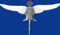 Her Majesty's Royal Flying Rat's Ass medal.