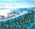 Swim in poo ad.png
