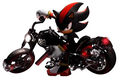 9738 Shadow the hedgehog With motorcycle.jpg