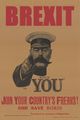 Recruitment poster, calling for healthy young men to join Brexit.