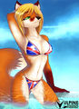 Thumbnail for version as of 05:41, 11 April 2013