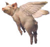 Flying Pig.jpg