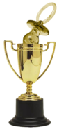 Noob Of The Year Trophy.png