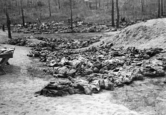 The Katyn Massacre, 1940 HU106212.jpg