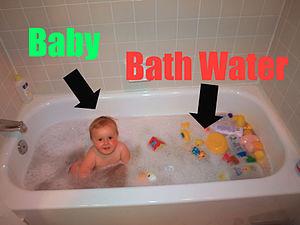 Baby vs. Bathwater Annotated.JPG