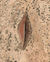 Earthvagina.jpg