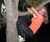 Treehug.jpg