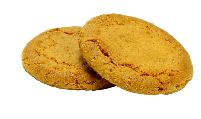 File:Ginger bicuit.png