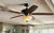 Ceiling-Fan.jpg