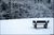 Bench snow meri.jpg