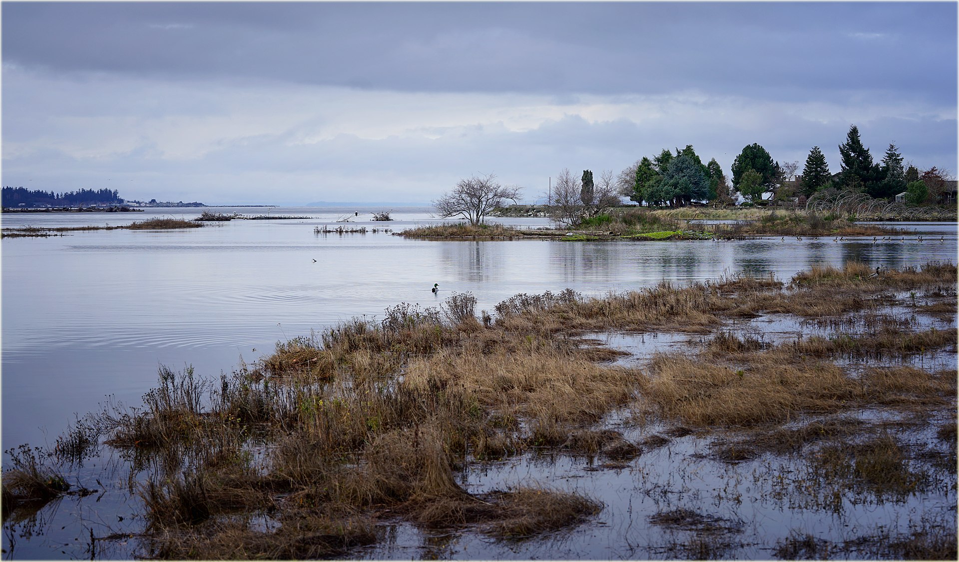 Englishman River estuary in Parksville, BC.jpg