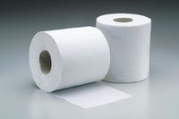 Toilet paper.jpg