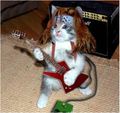Cat lol guitar.jpg